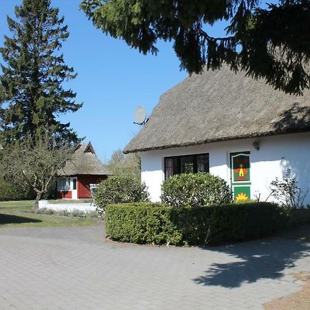 Ferienhaus Ilva In Born Villa Kültér fotó