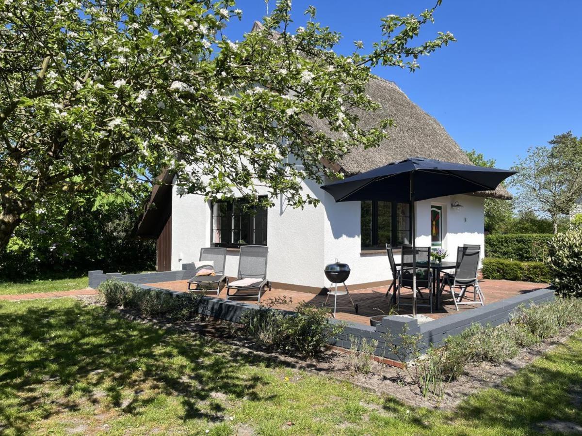 Ferienhaus Ilva In Born Villa Kültér fotó